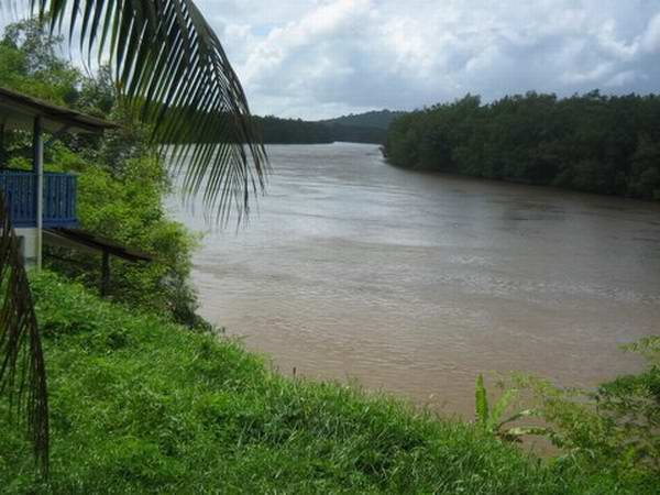 site de rencontre guyane française