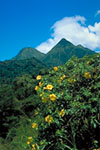 Montagne Pelée et Piton du Carbet