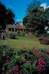 Plantation Ceron